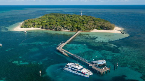 Great Adventures Green Island Ocean Swim - Sunshine Coast Tourism 0