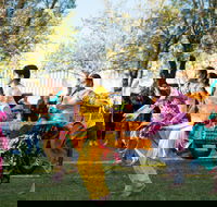 Griffith Spring Fest -  Multicultural Festival - Sunshine Coast Tourism