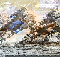 Gundagai Rodeo - Sunshine Coast Tourism