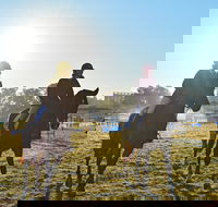 Gunnedah Showjumping Festival - Sunshine Coast Tourism