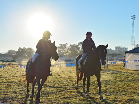 Gunnedah Showjumping Festival - Holiday Sunshine Coast 0
