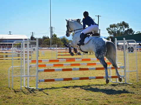Gunnedah Showjumping Festival - Holiday Sunshine Coast 1