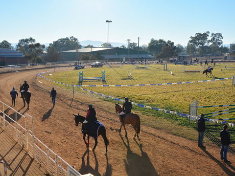 Gunnedah Showjumping Festival - Holiday Sunshine Coast 2