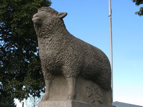 Guyra Lamb And Potato Festival - Sunshine Coast Tourism 0