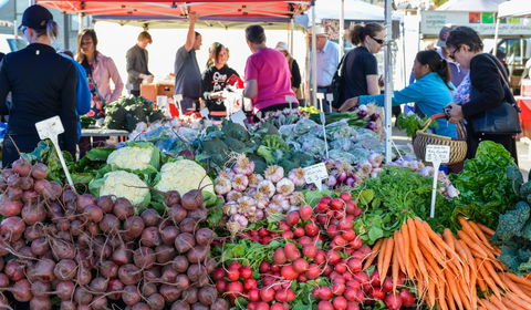 Harvest Launceston Community Farmers' Market - Holiday Sunshine Coast 2