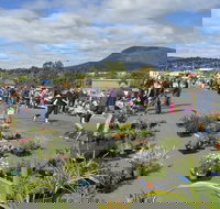 Hobart Showground Sunday Market - Weekly - Sunshine Coast Tourism