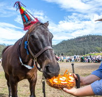 Horses Birthday Festival - Sunshine Coast Tourism