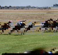Jerilderie Gold Cup Races - Sunshine Coast Tourism