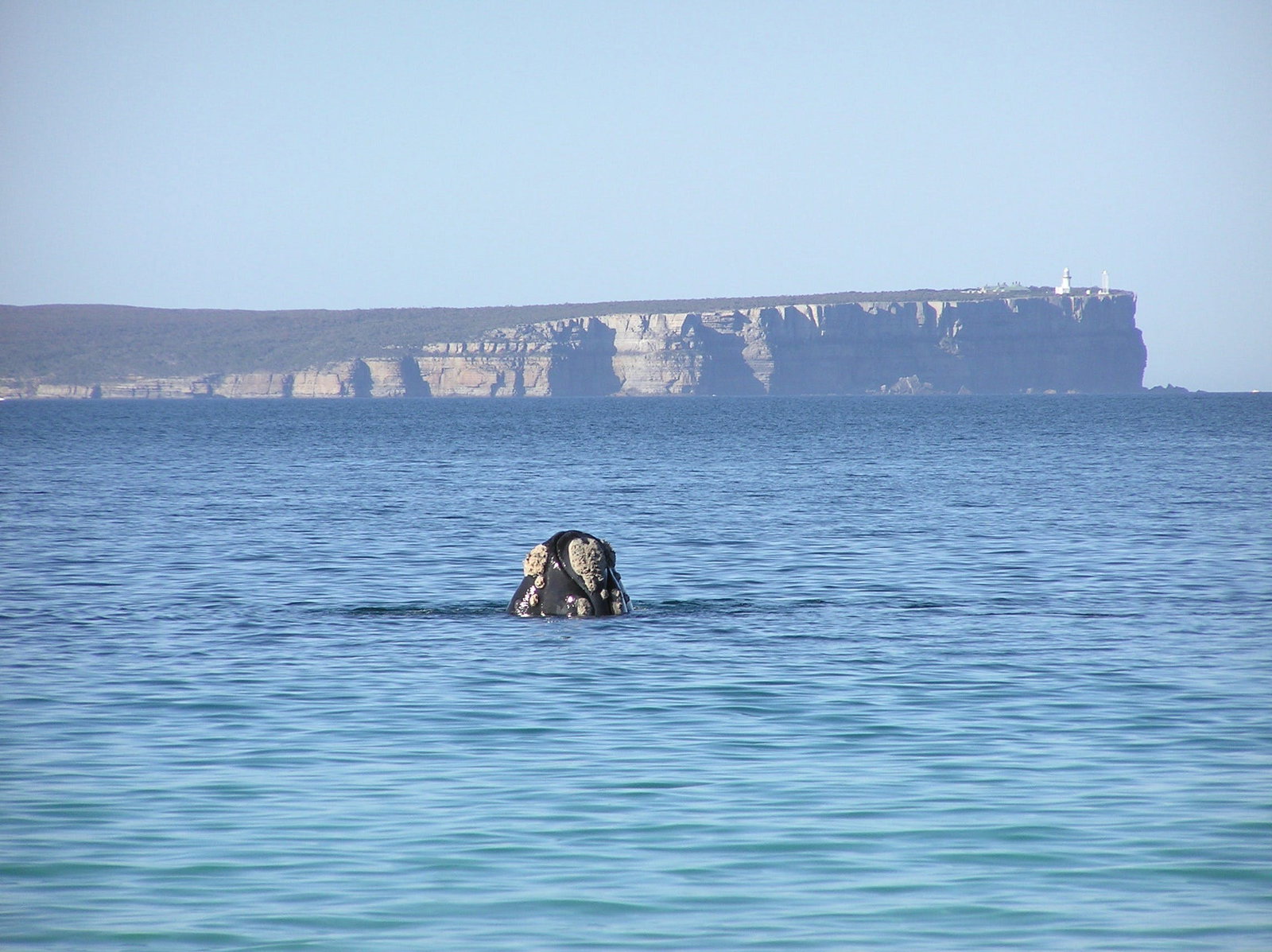 Huskisson NSW Sunshine Coast Tourism