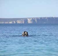 Jervis Bay's Sydney to Hobart Experience - Sunshine Coast Tourism
