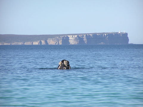 Jervis Bay's Sydney To Hobart Experience - Sunshine Coast Tourism 0