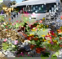 Johns River Country Markets - Sunshine Coast Tourism