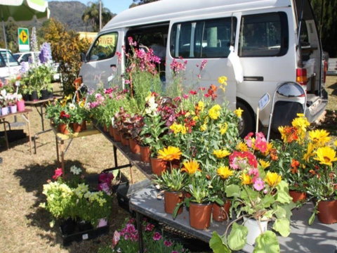Johns River Country Markets - Sunshine Coast Tourism 0
