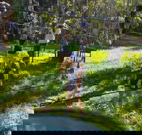 July 2020 Holidays- Forest Smores  Explore - Sunshine Coast Tourism