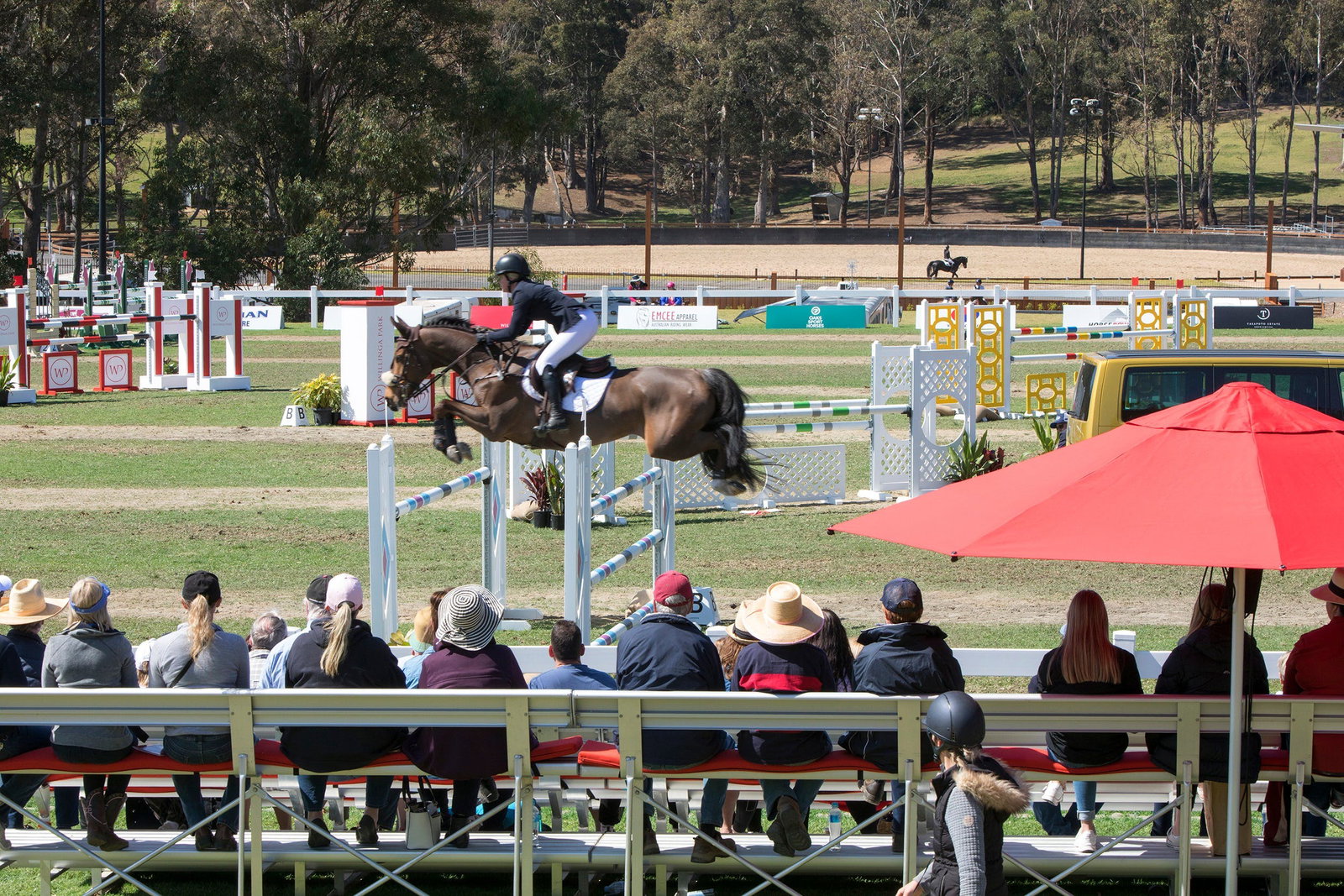 Cockwhy NSW Sunshine Coast Tourism