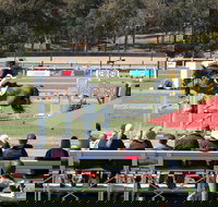 JumpingWillinga - Sunshine Coast Tourism