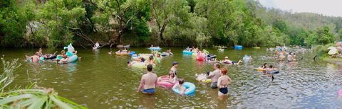 Jungle Love Festival - Sunshine Coast Tourism 1