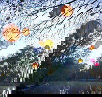 Lanterns on the Lagoon - Sunshine Coast Tourism