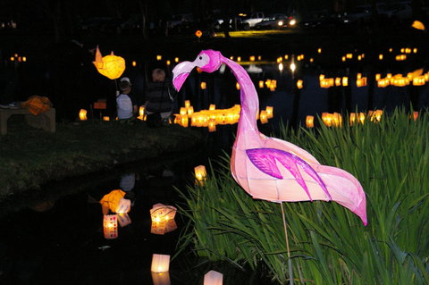 Lanterns On The Lagoon - Sunshine Coast Tourism 1