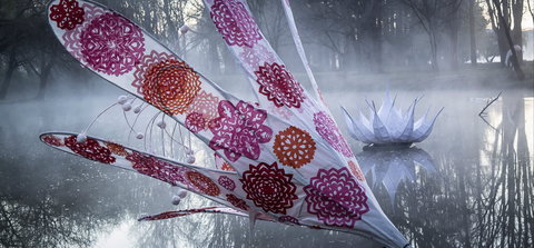 Lanterns On The Lagoon - Sunshine Coast Tourism 2