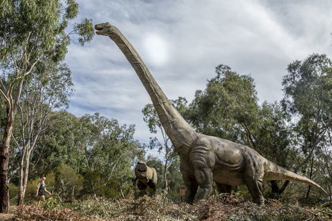 Lost Sanctuary At Healesville Sanctuary - Holiday Sunshine Coast 0