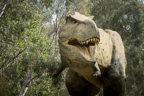 Lost Sanctuary At Healesville Sanctuary - Holiday Sunshine Coast 2