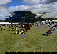 Majors Creek Festival - Sunshine Coast Tourism