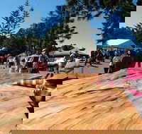 Maleny Wood Expo From Seed to Fine Furniture - Sunshine Coast Tourism