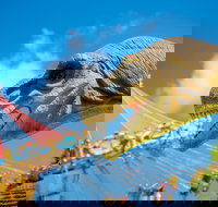 Mega Creatures at Hunter Valley Gardens - Postponed - Sunshine Coast Tourism