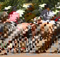 Michelago Pony Club Gymkhana and Sporting Spectacular - Sunshine Coast Tourism