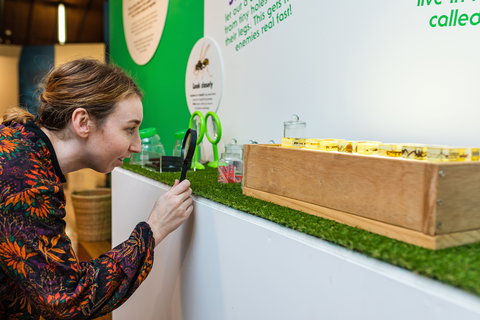 Minibeasts - Sunshine Coast Tourism 0