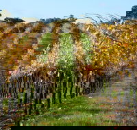 Miners Ridge Wine Tasting - Sunshine Coast Tourism