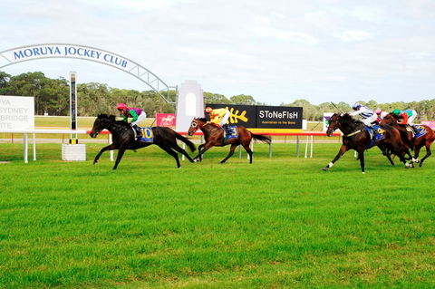 Moruya Cup - Sunshine Coast Tourism 2