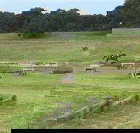 Mount Gambier and District Pony Club Horse Trials 2020 - Sunshine Coast Tourism