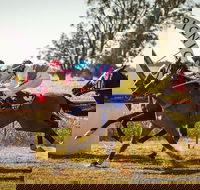 Mungery Picnic Races - Sunshine Coast Tourism