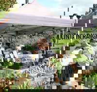 Nan Tien Health and Wellbeing Market - Sunshine Coast Tourism