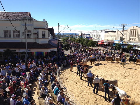 NCMC Casino Beef Week - Sunshine Coast Tourism 0