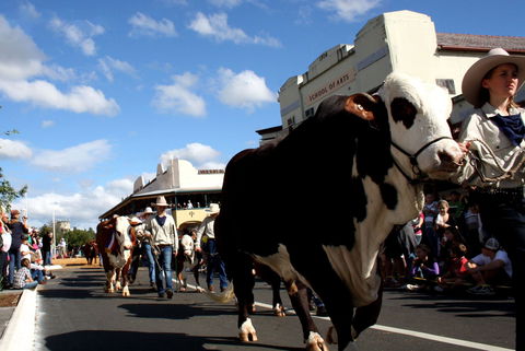 NCMC Casino Beef Week - Sunshine Coast Tourism 1