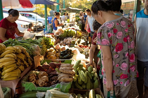 Rapid Creek Markets - Sunshine Coast Tourism 1