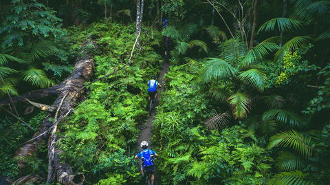 Reef To Reef - Sunshine Coast Tourism 7