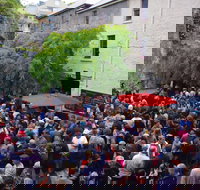 Rektango - Sunshine Coast Tourism