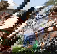 Sale  Producers Market - Sunshine Coast Tourism