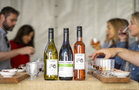 Southern Highlands Food And Wine Festival - Holiday Sunshine Coast 2