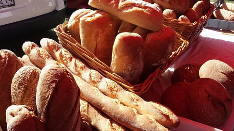 South Geelong Farmers Market - Holiday Sunshine Coast 2