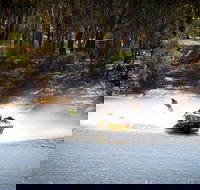 Southern 80 - Sunshine Coast Tourism