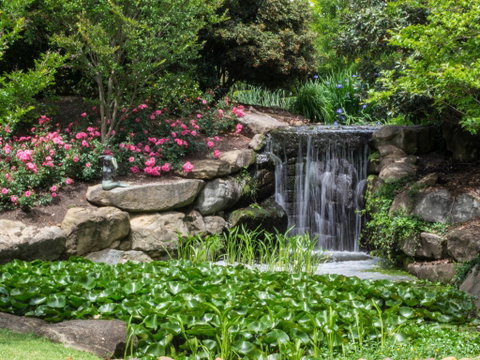 Spring Time At Hunter Valley Gardens - Sunshine Coast Tourism 1