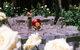Spring Sips, Support And Sustain - Festival And Feast - thumb 0
