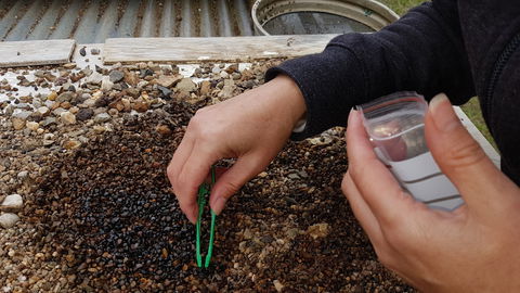The Minerama Fossicking, Gem And Jewellery Show - Sunshine Coast Tourism 1