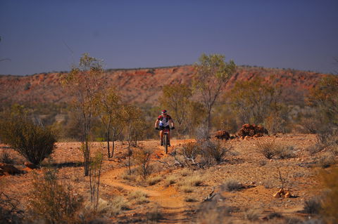 The Redback - Sunshine Coast Tourism 2
