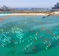 The Old Woman Ocean Paddle - Sunshine Coast Tourism